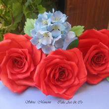 Un pò di fiori